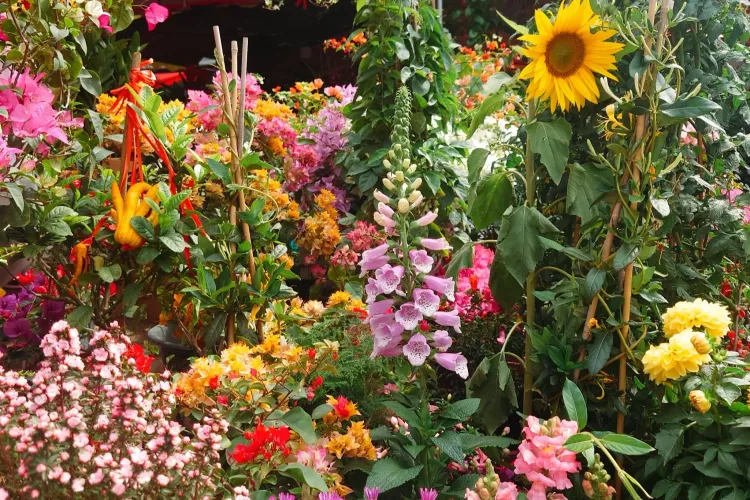 Bagualing Flower Wholesale Market: Shenzhen’s Best Spot for Affordable Flowers & Artistic Displays