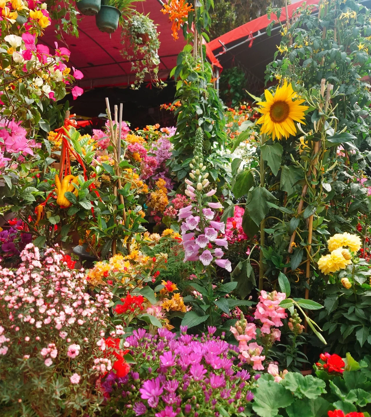 Bagualing flower market