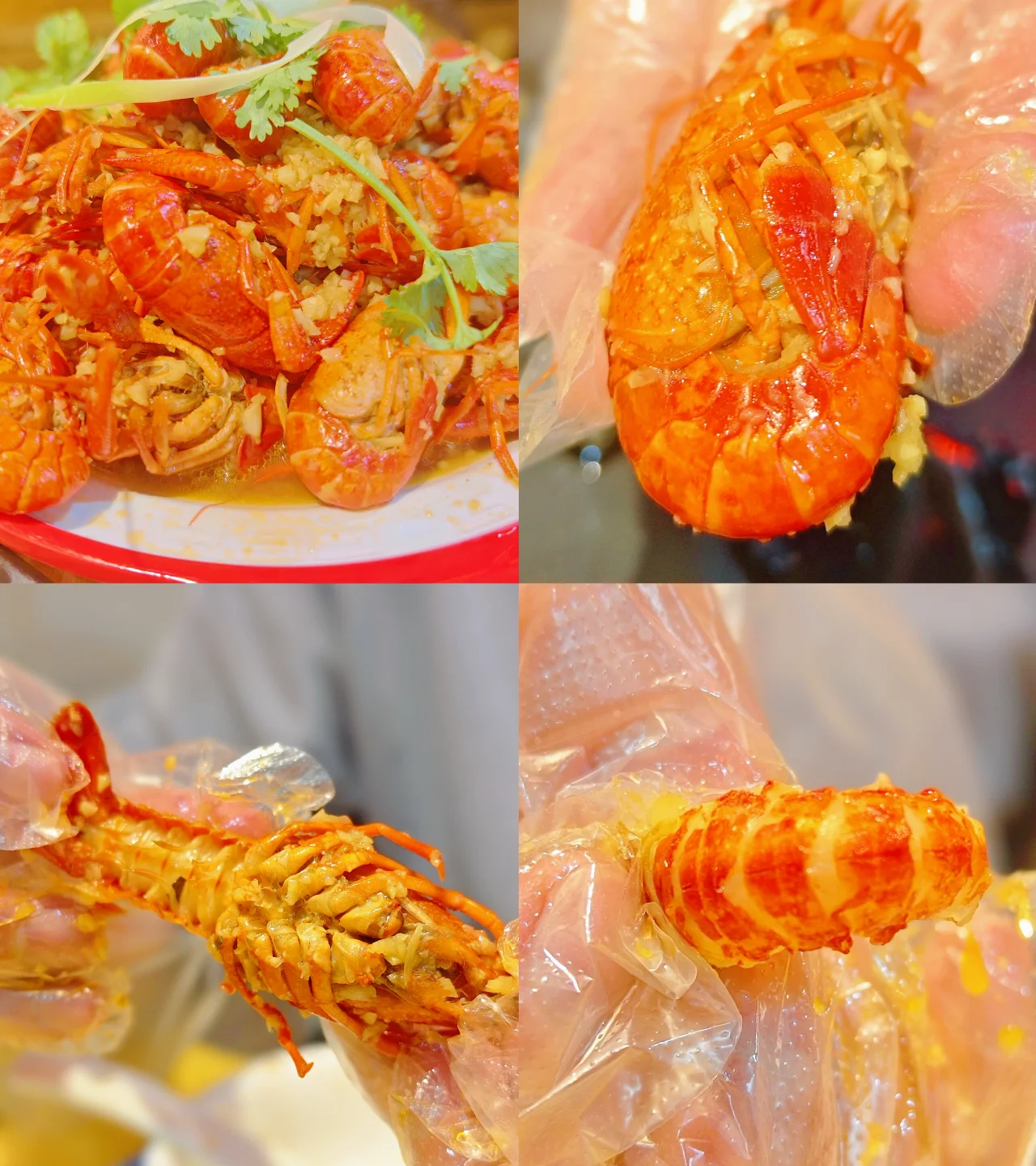 crayfish